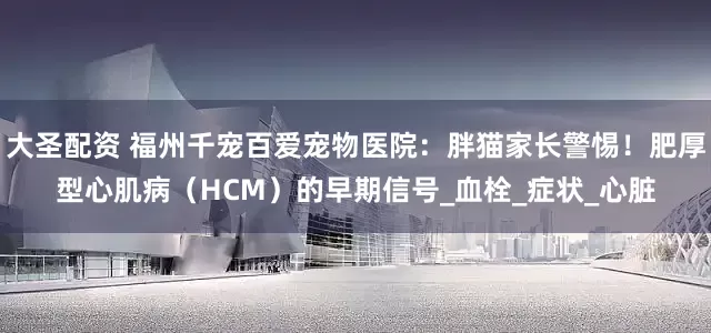 大圣配资 福州千宠百爱宠物医院：胖猫家长警惕！肥厚型心肌病（HCM）的早期信号_血栓_症状_心脏