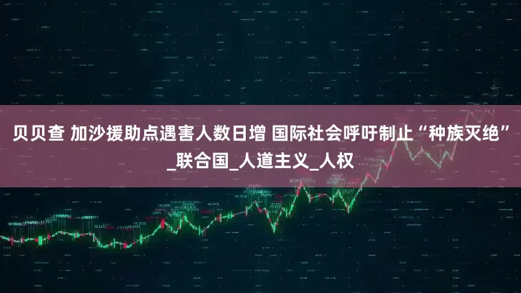 贝贝查 加沙援助点遇害人数日增 国际社会呼吁制止“种族灭绝”_联合国_人道主义_人权