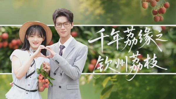 658配资 微短剧《千年荔缘之钦州荔枝》今天上线