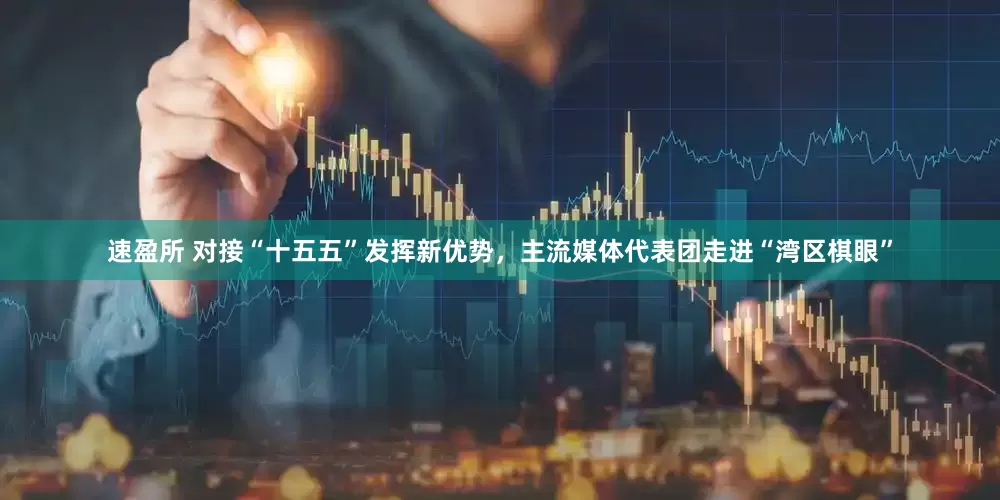 速盈所 对接“十五五”发挥新优势，主流媒体代表团走进“湾区棋眼”